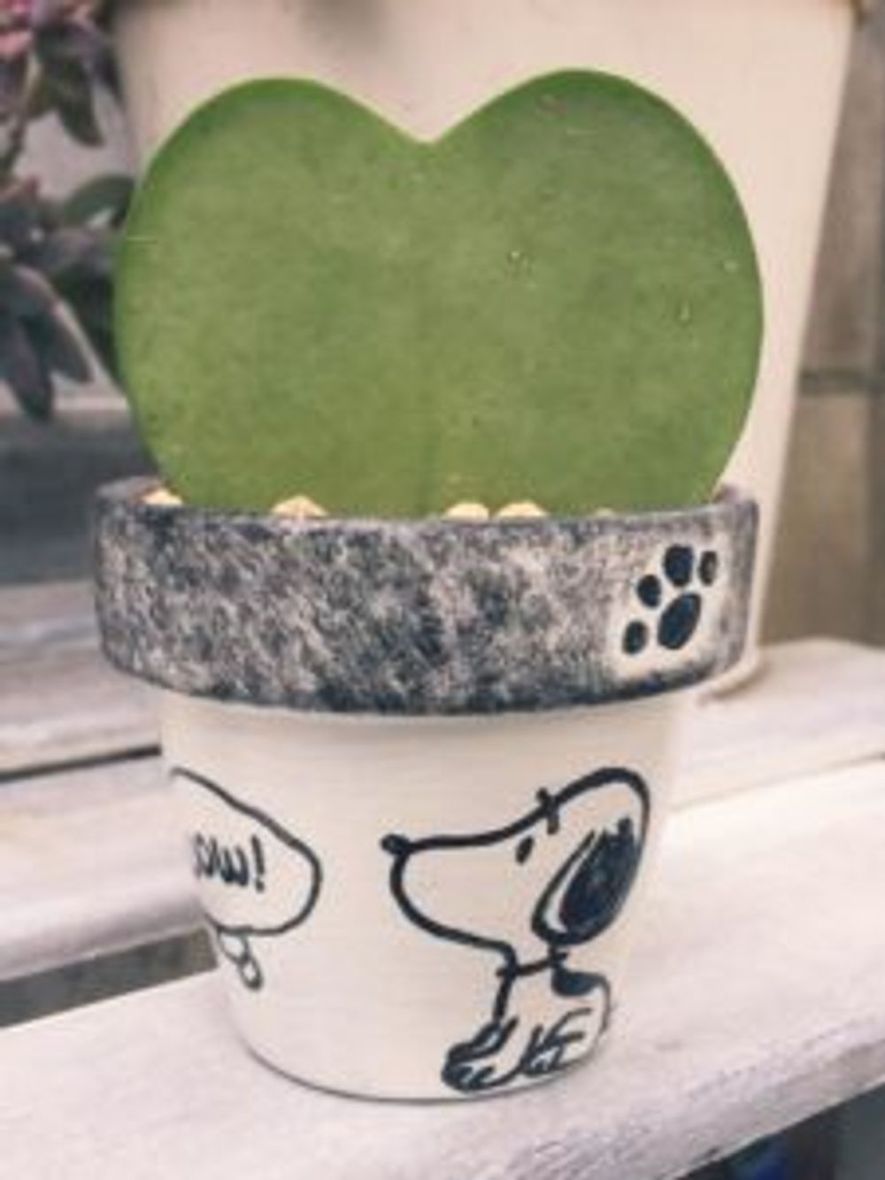 Photo by yossyさん