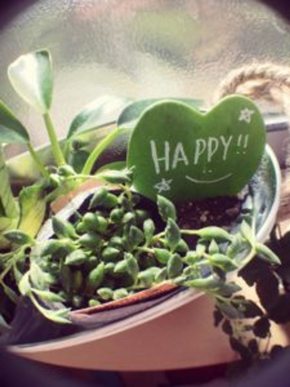 Photo by ラプンツェルさん