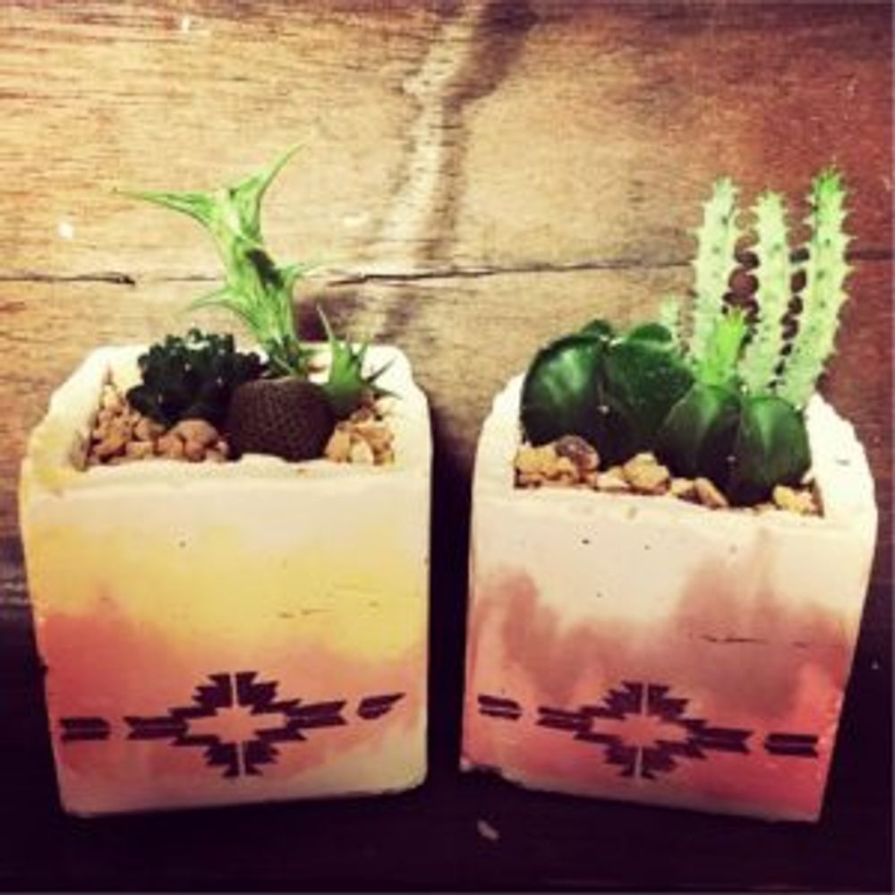 Photo by samry.sさん