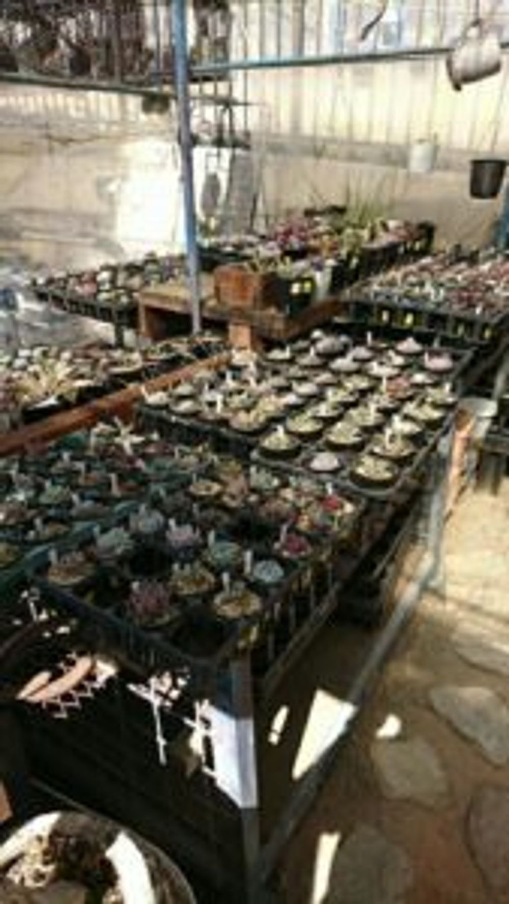 Photo by 減塩醤油さん