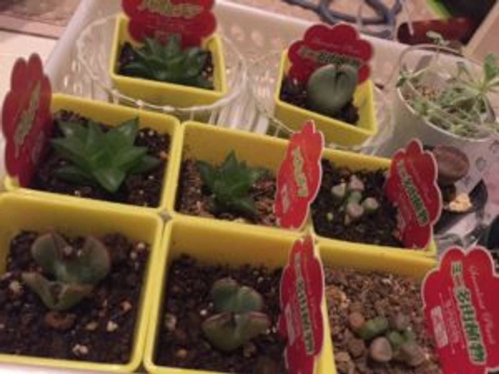 Photo by あっぴーさん