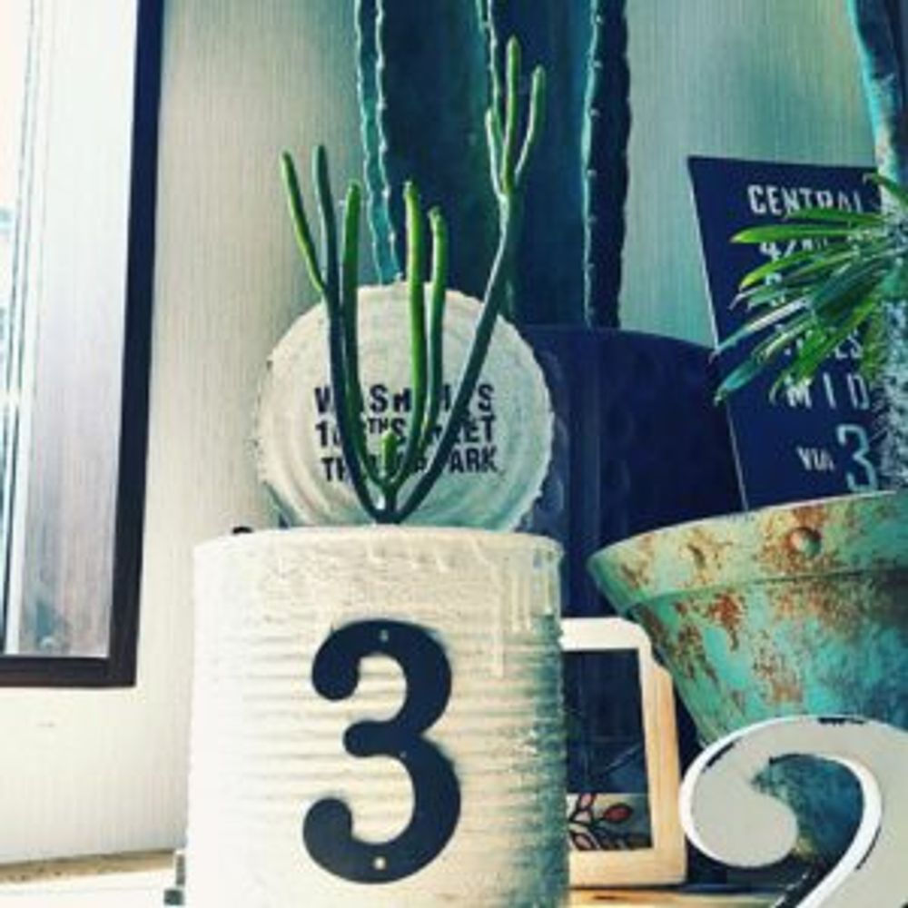 Photo by mai.gさん