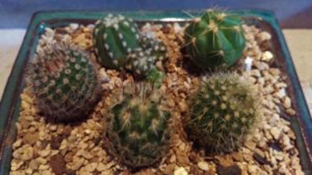 Photo by チャキ(๑❛ᴗ❛๑)さん