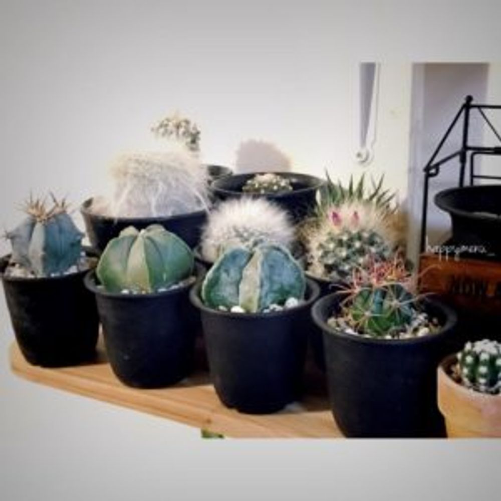 Photo by @happymenu_（ツピたん）さん