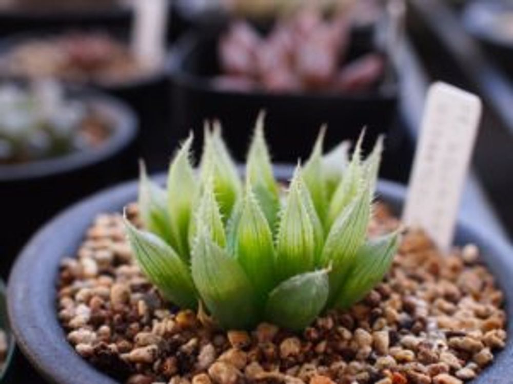 Photo by kuma.さん