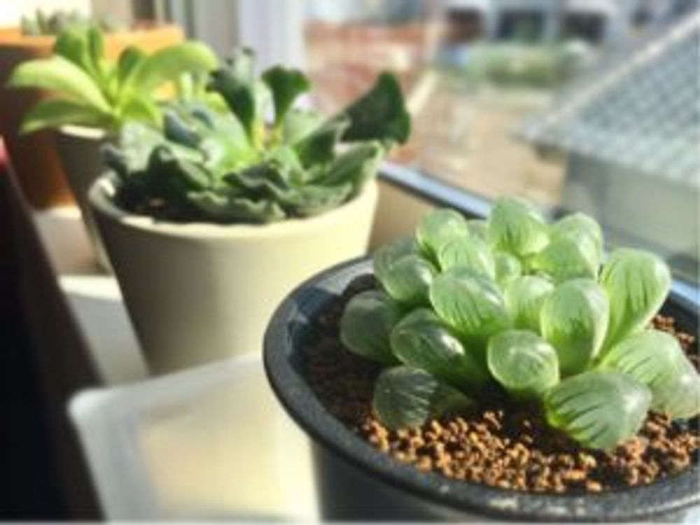 Photo by ＊shk＊さん