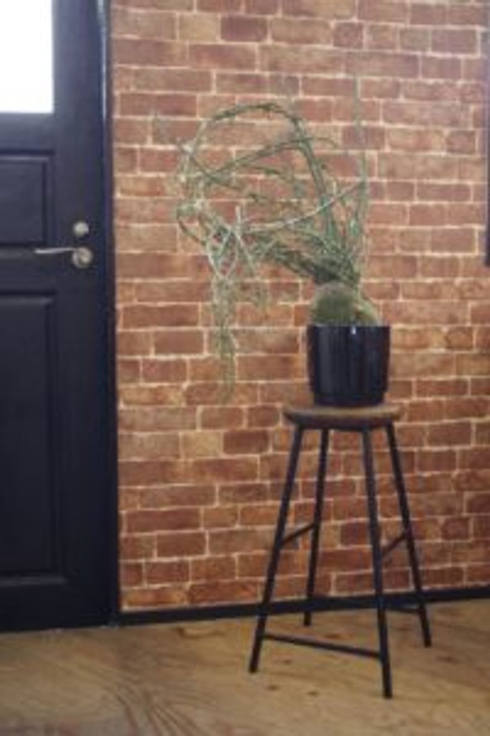 Photo by inoka＋krehaさん