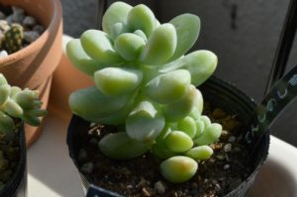 Photo by しゃけさん