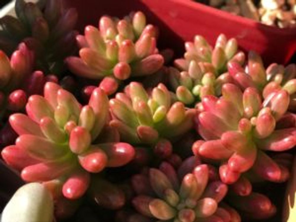 Photo by yosdpalさん