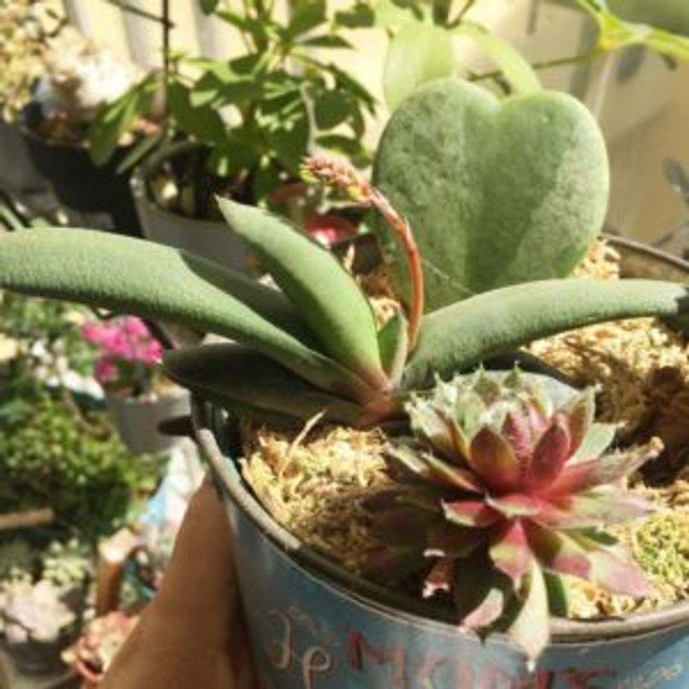 Photo by kaziochanさん