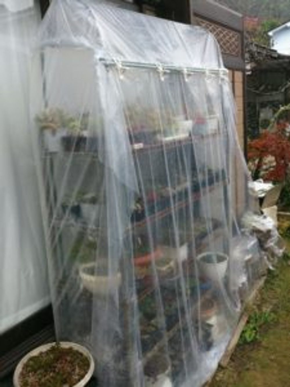 Photo by MITH＆ROIDさん