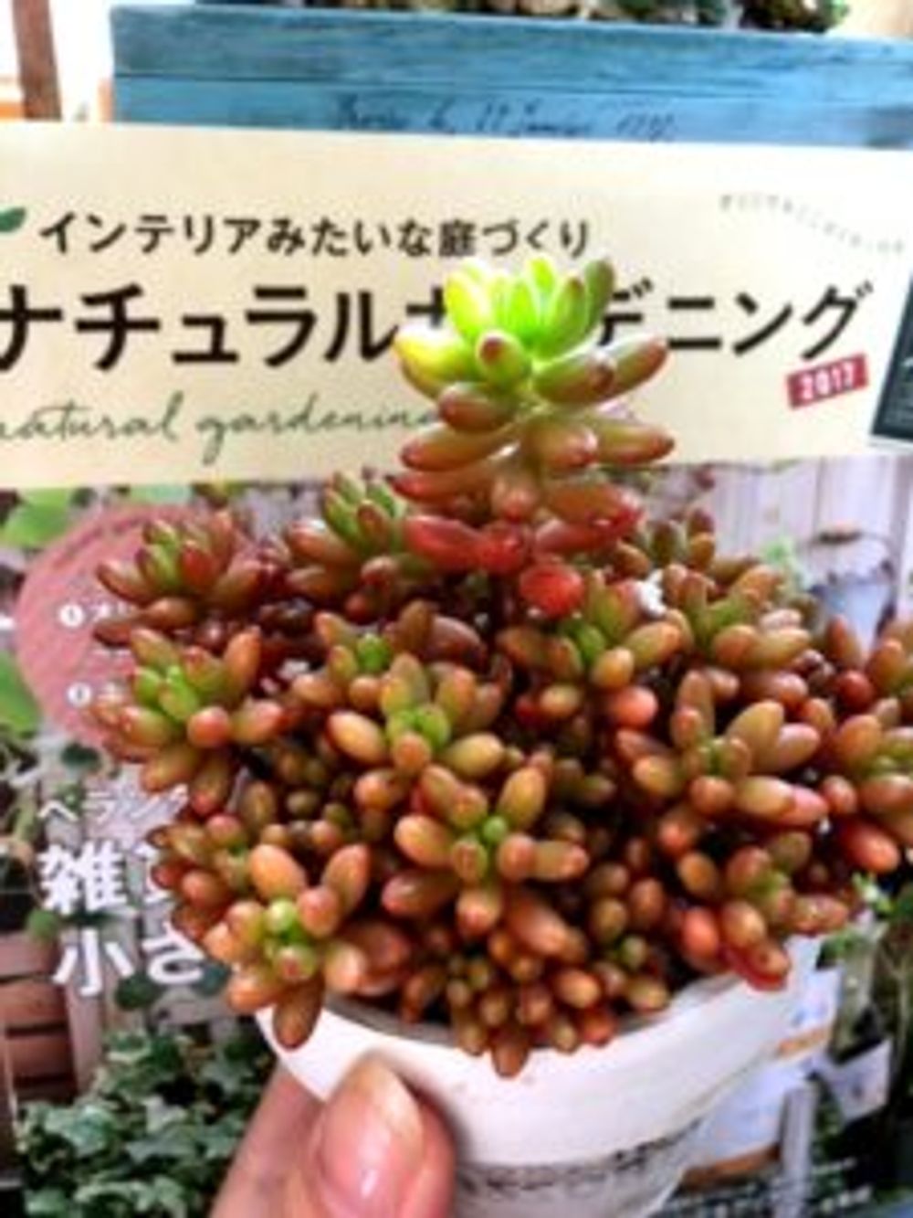 Photo by maru♡さん