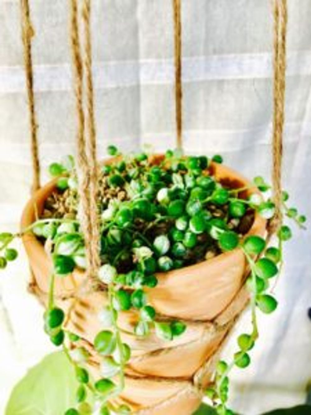 Photo by 森のひと。さん