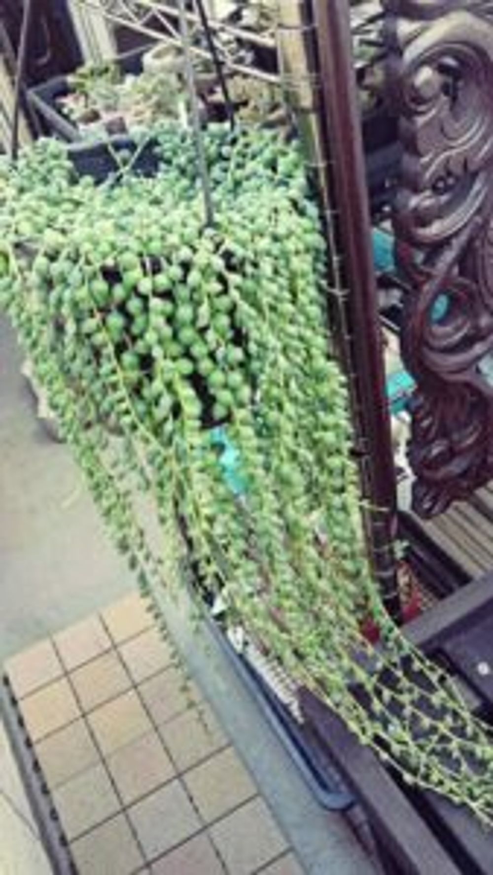 Photo by ジャムsunsさん