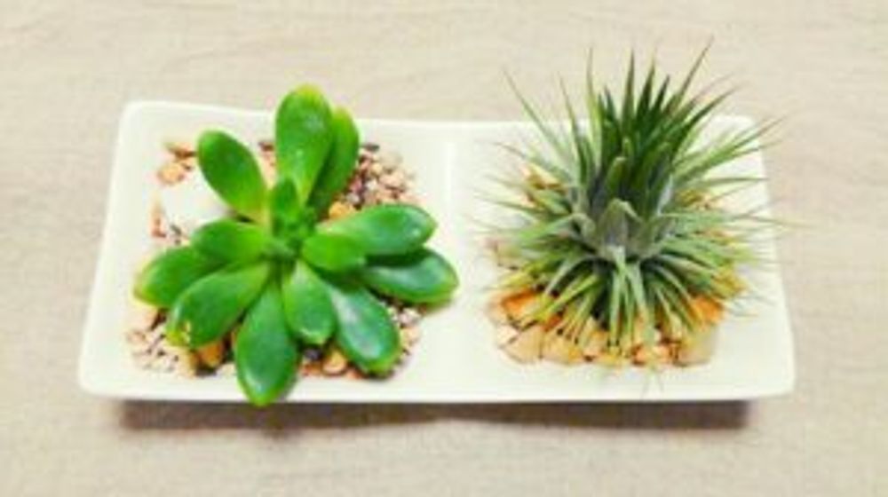 Photo by pieni_sayaさん