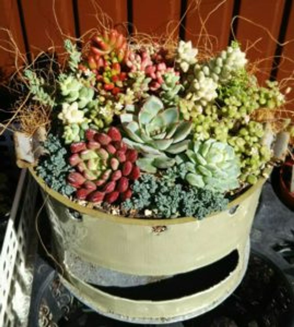 Photo by Little☆Myさん