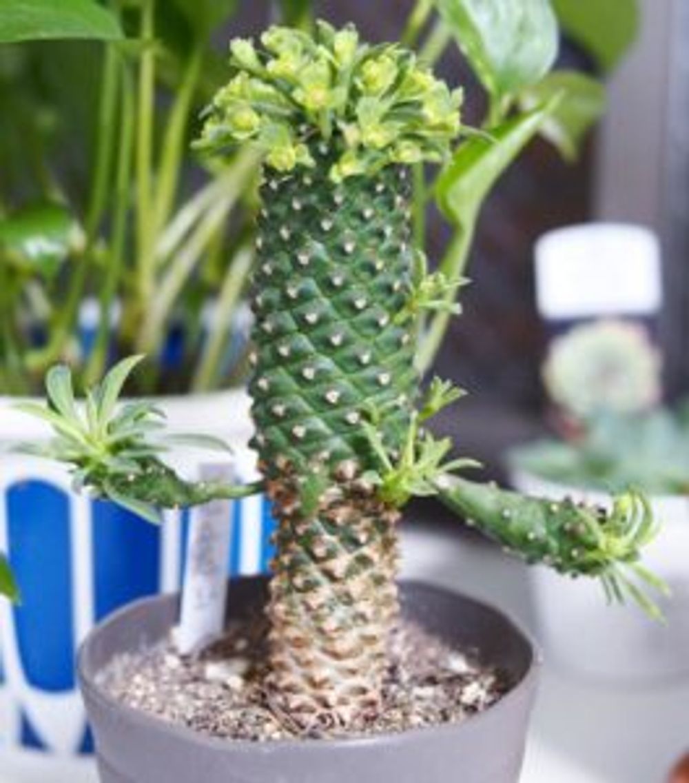 Photo by yu-kiさん