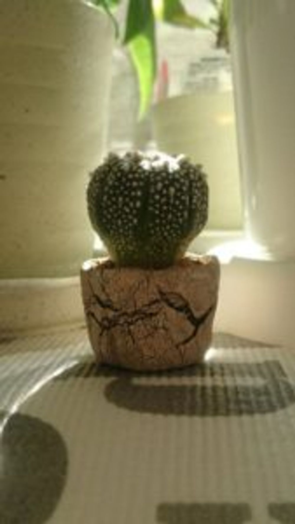 Photo by まぁさん