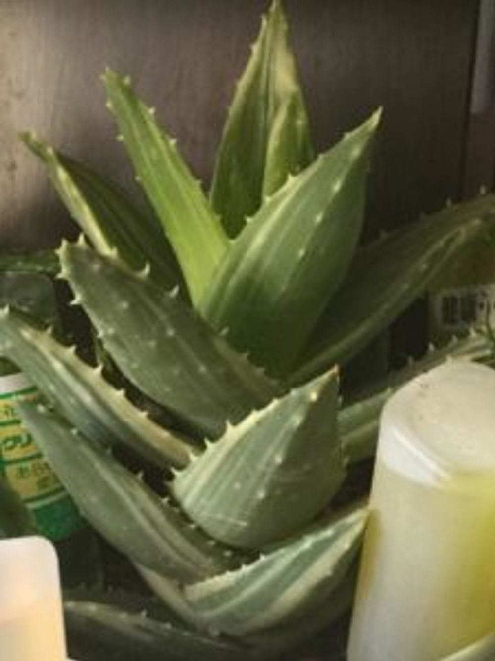 Photo by ぴっか☆彡さん