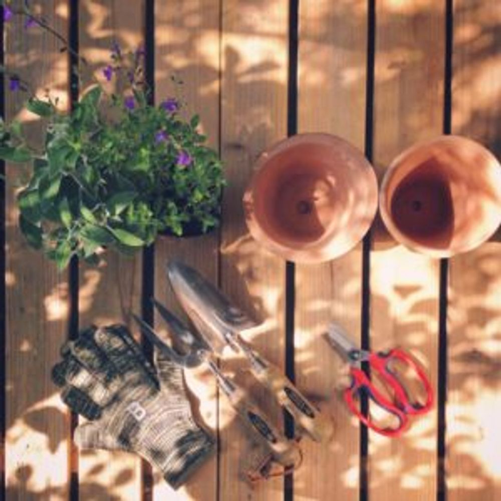 Photo by Griffinさん