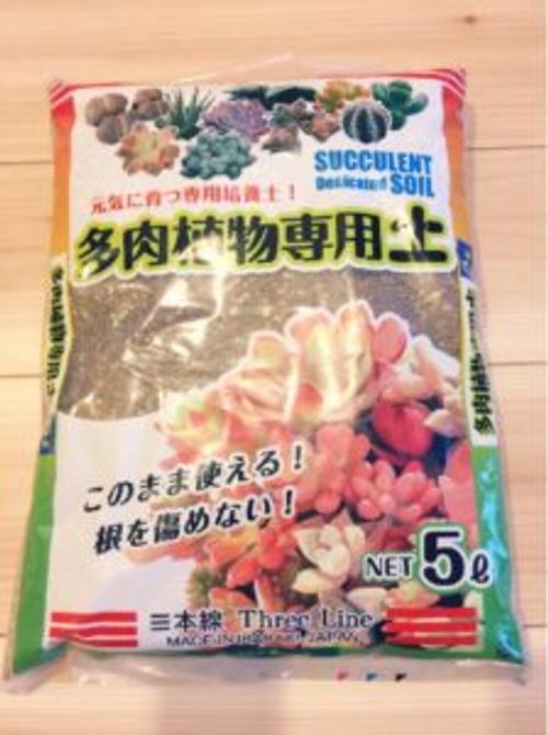 どんな土が良いの サボテンと多肉植物の土 Greensnap グリーンスナップ