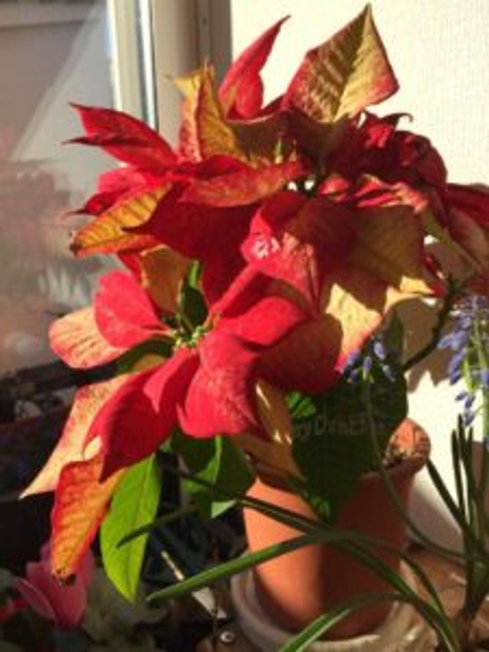 Photo by tree_youさん