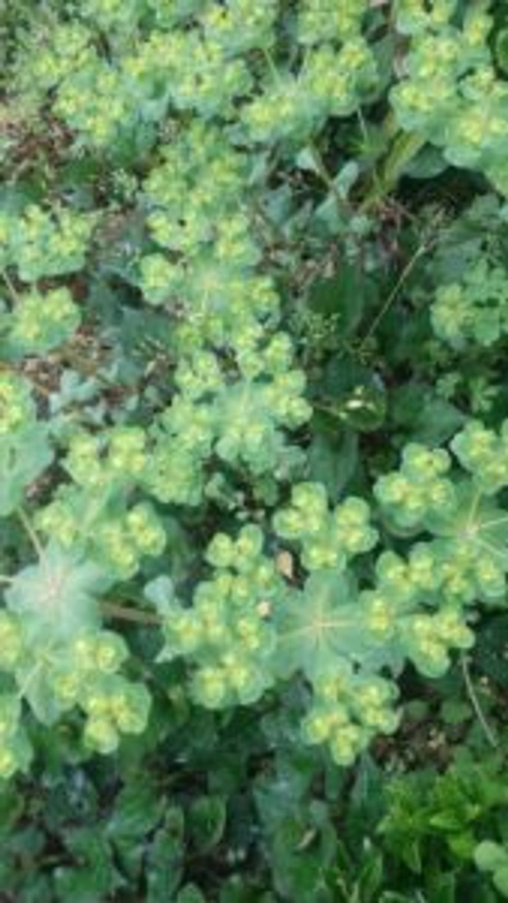 Photo by まきさん