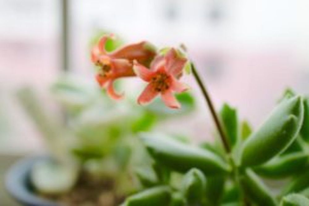 Photo by さっちゃんさん