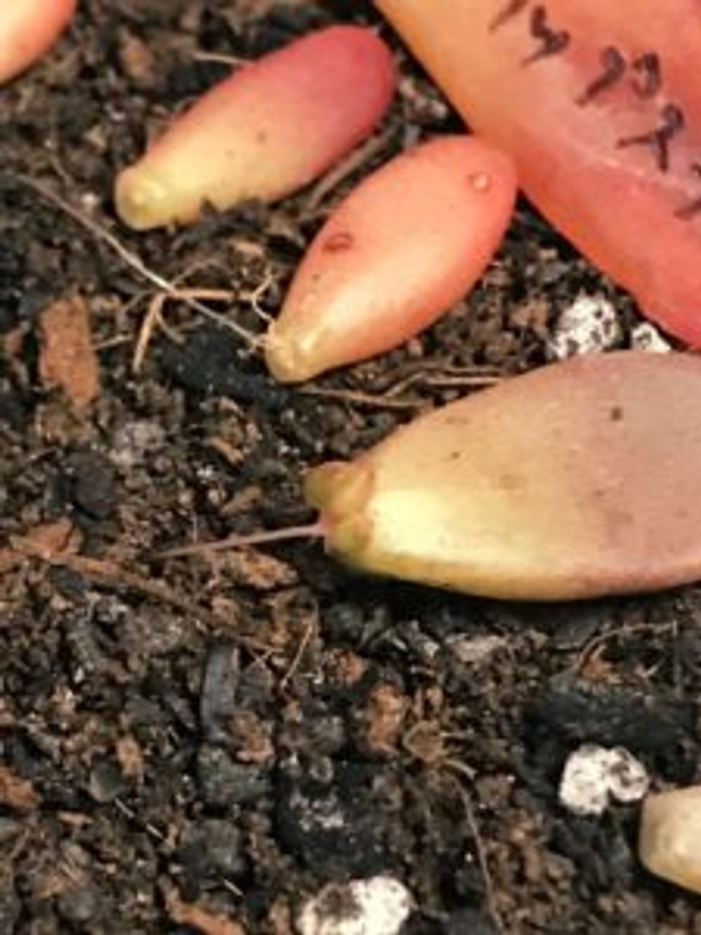 Photo by えむさん