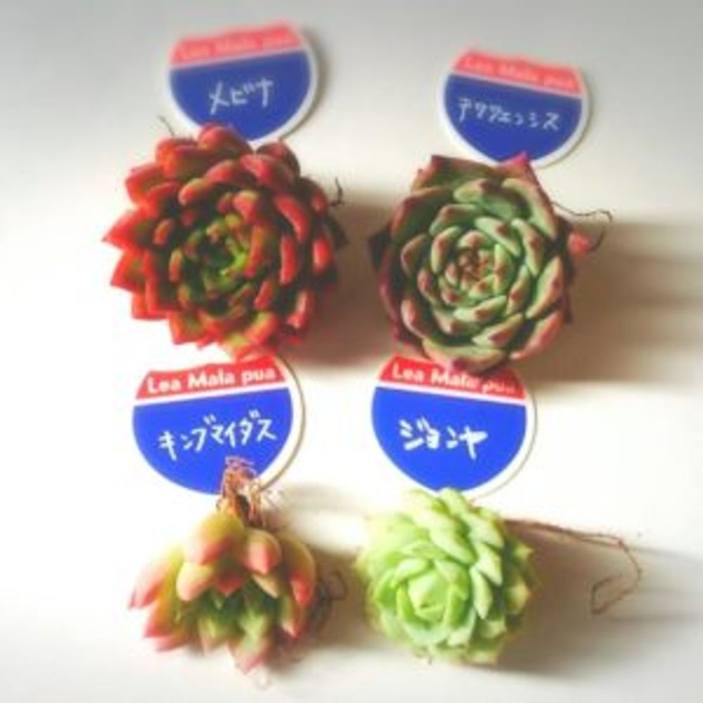 Photo by nana★75さん