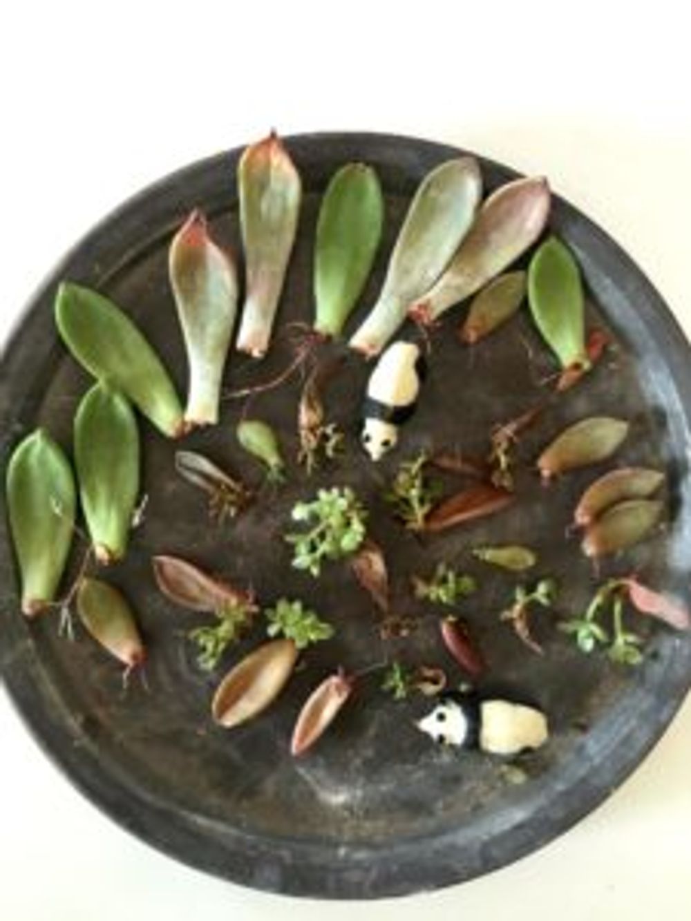 Photo by ほりみさん