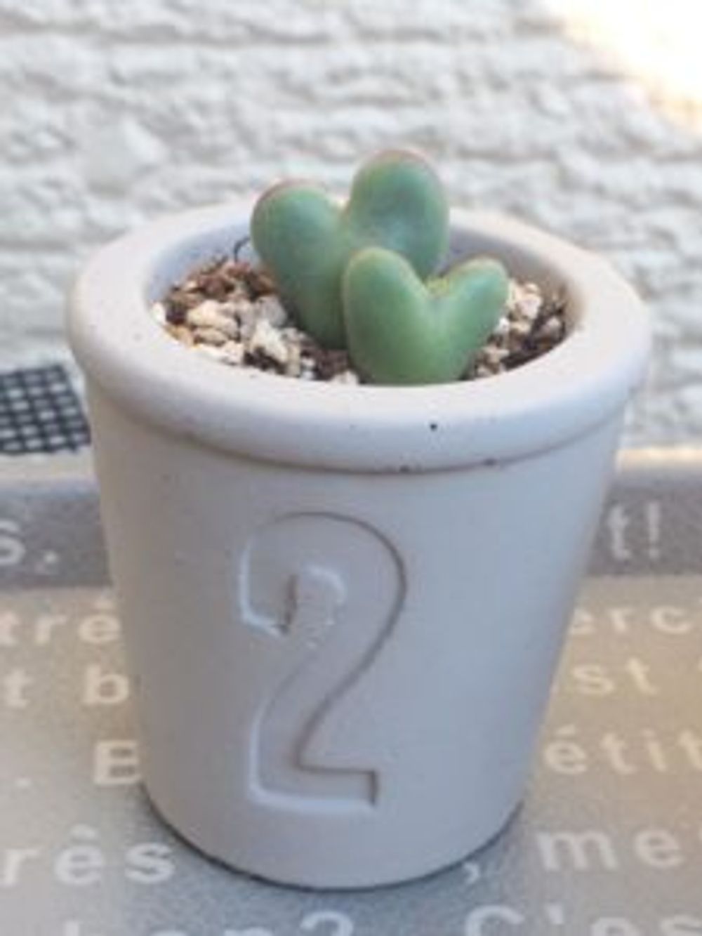 Photo by あさよしさん