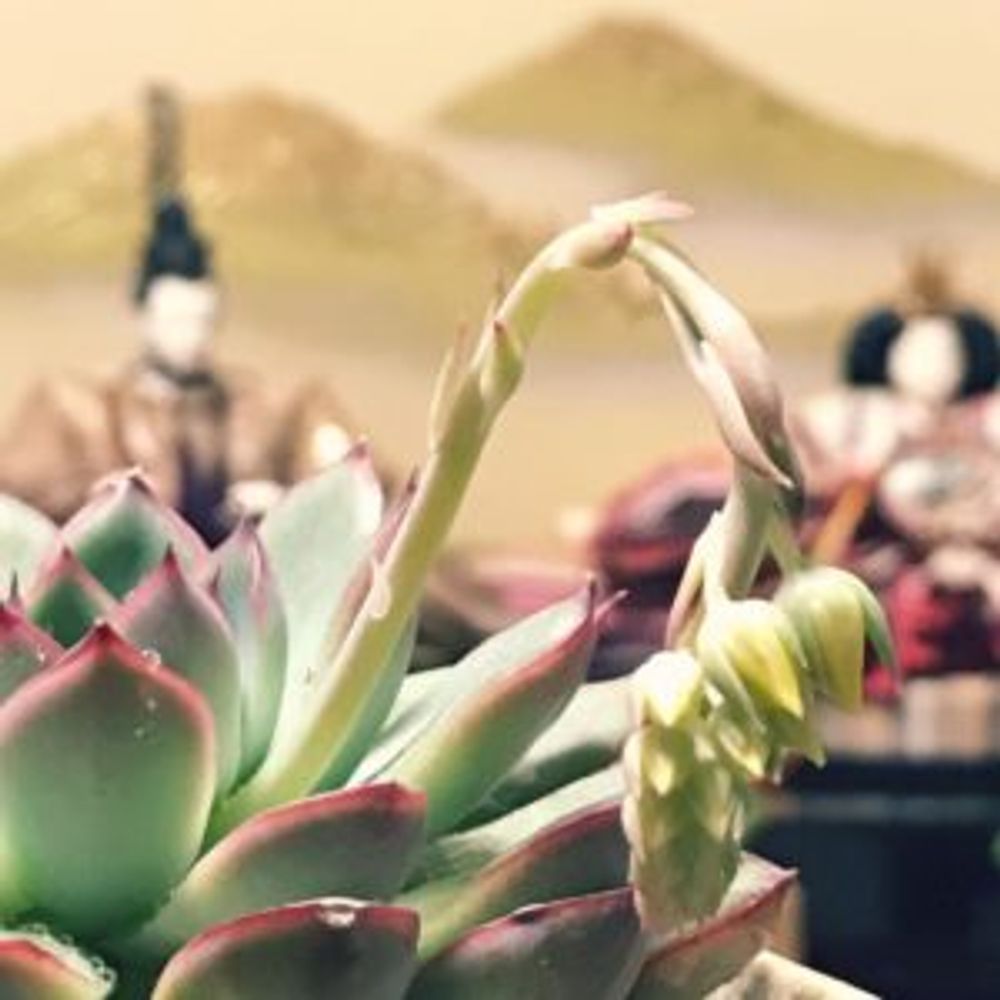 Photo by aliceさん