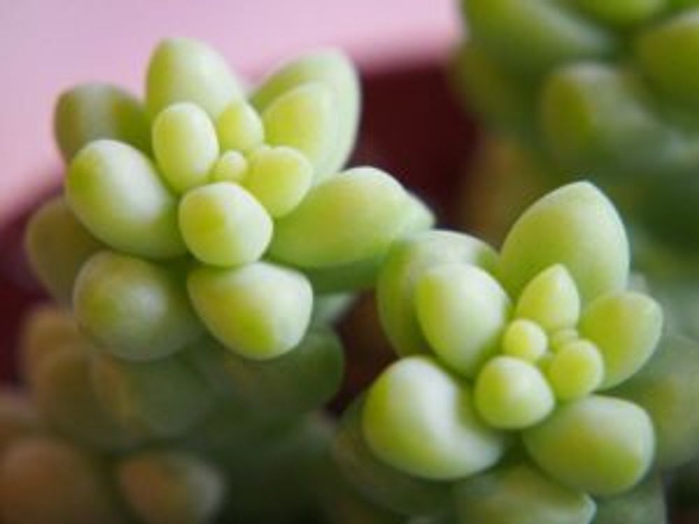 Photo by ひろりんさん