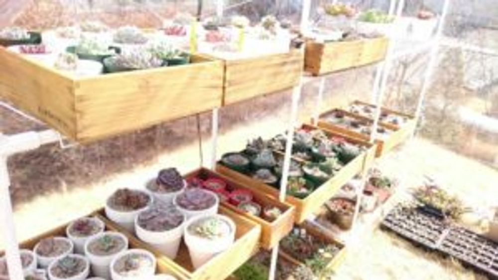 Photo by みおさん