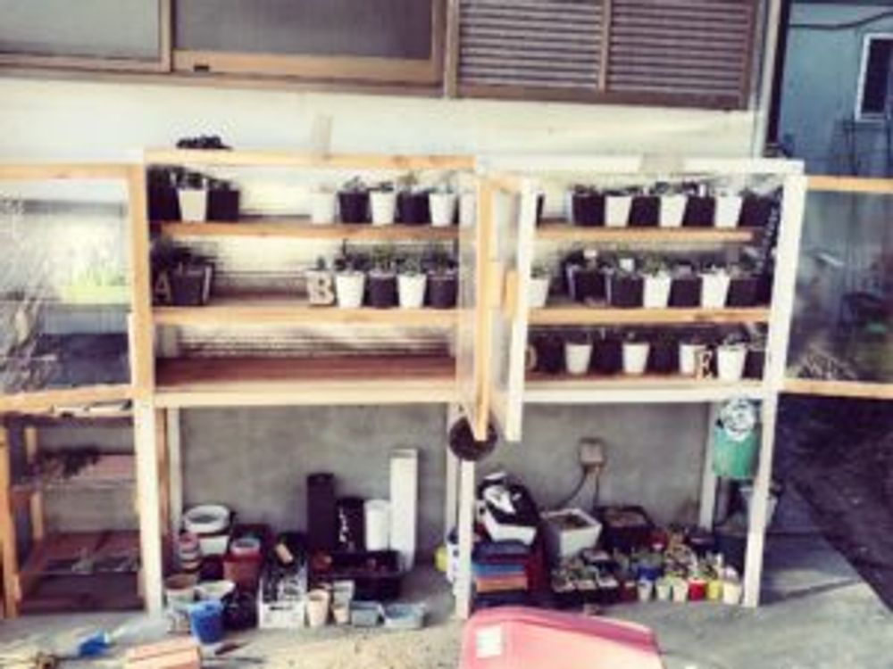 Photo by ReATeさん