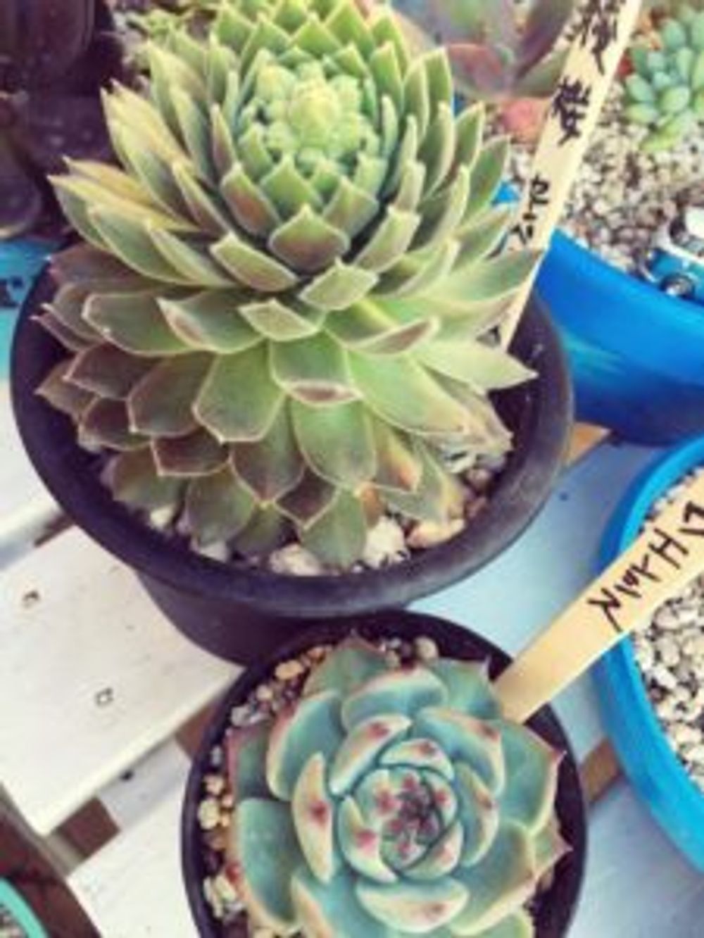 Photo by ひなのさん