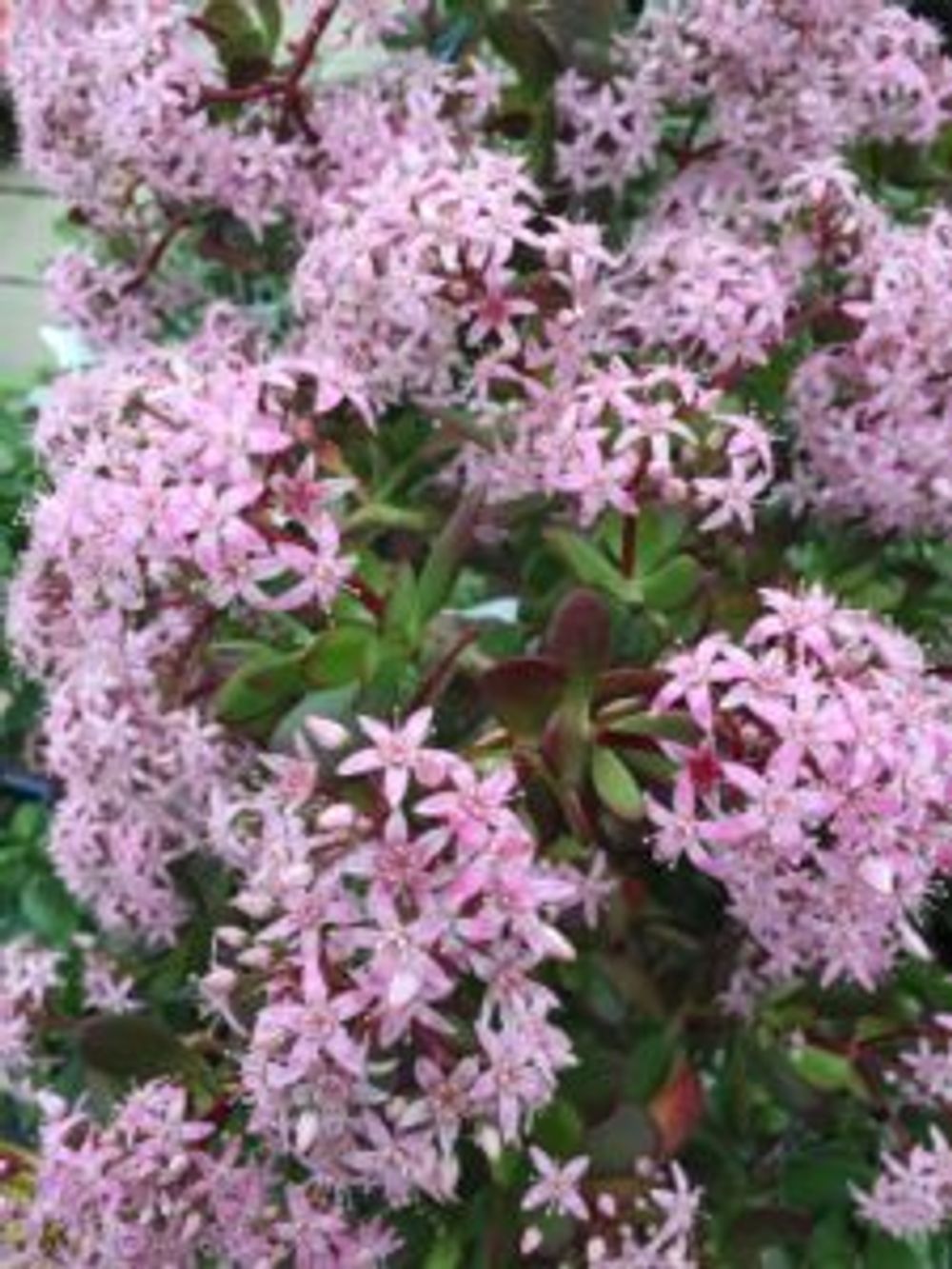 Photo by emptyさん