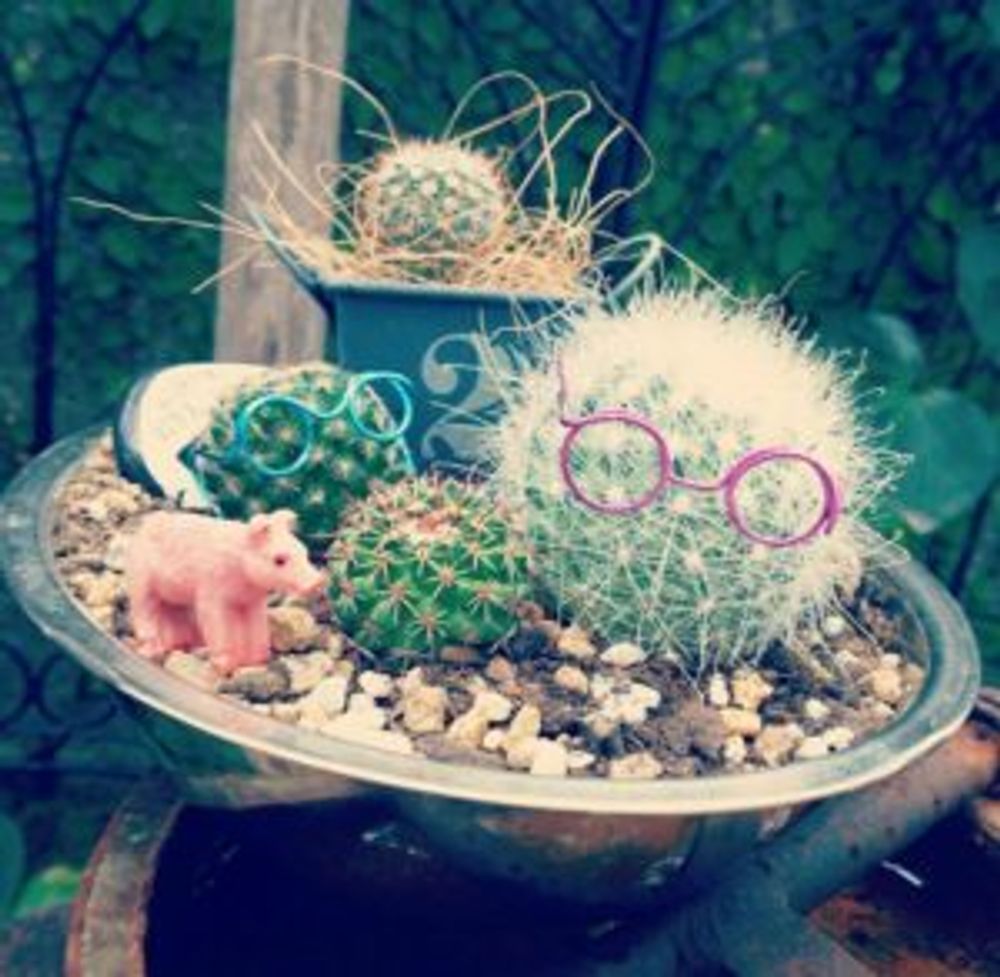 Photo by のriraさん