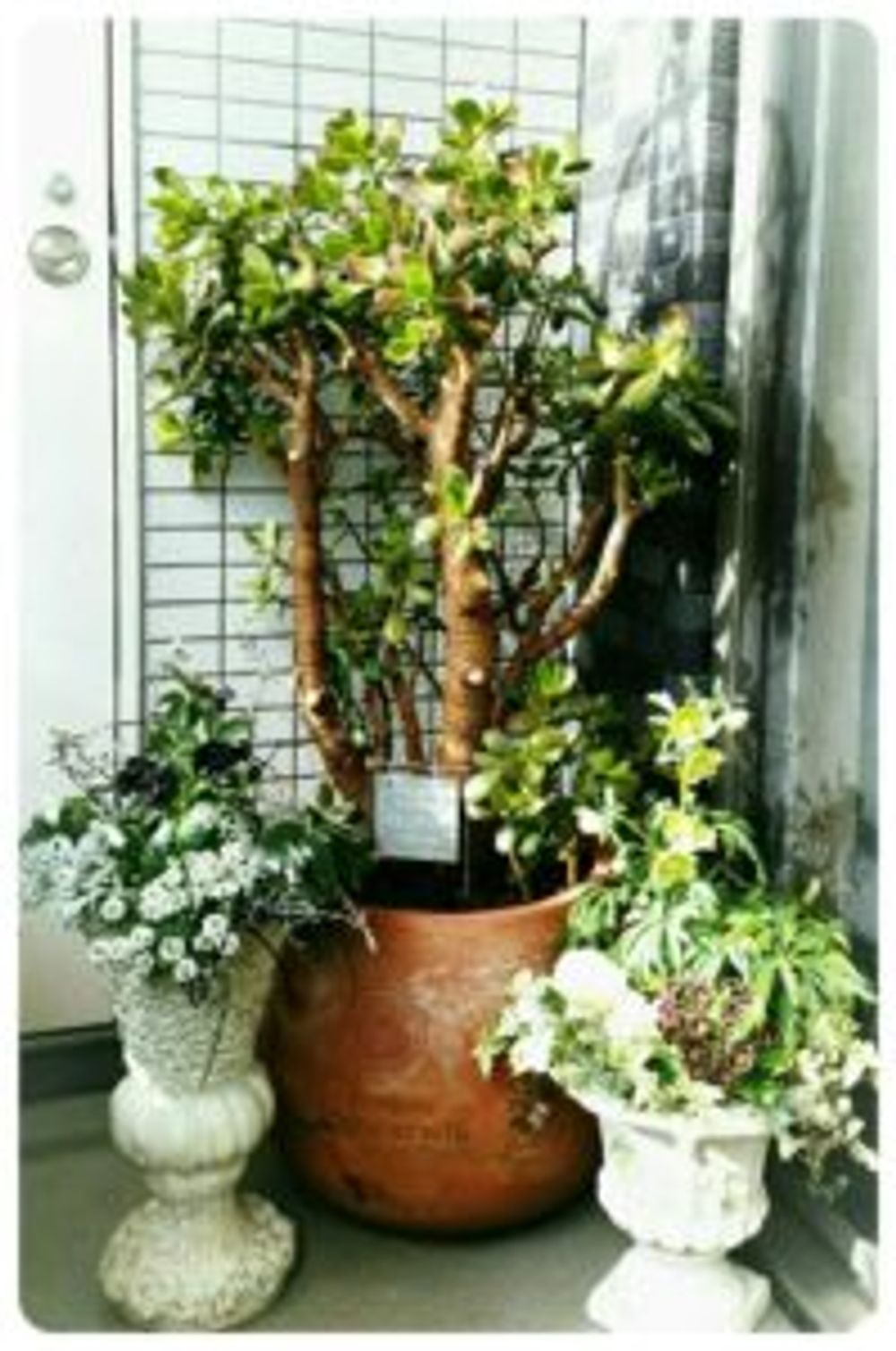 Photo by 容舞后さん