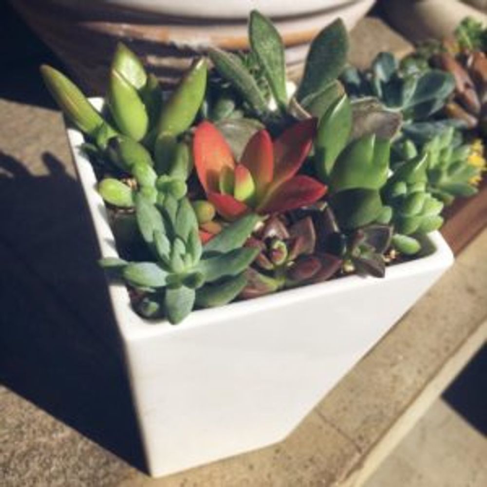 Photo by あらあらさん