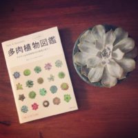 初心者におすすめ！多肉植物に関する本3冊！の画像