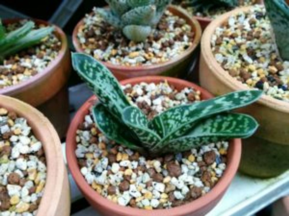 Photo by あおい32さん