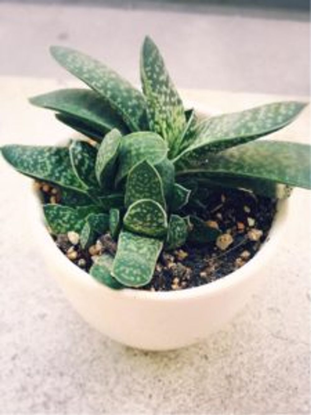 Photo by あーちゃんさん