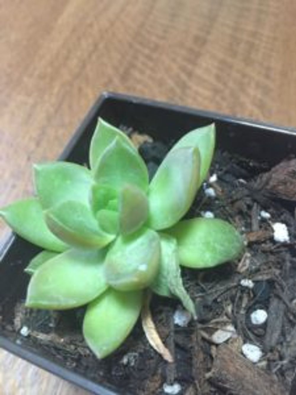 Photo by yui(°Д°)さん