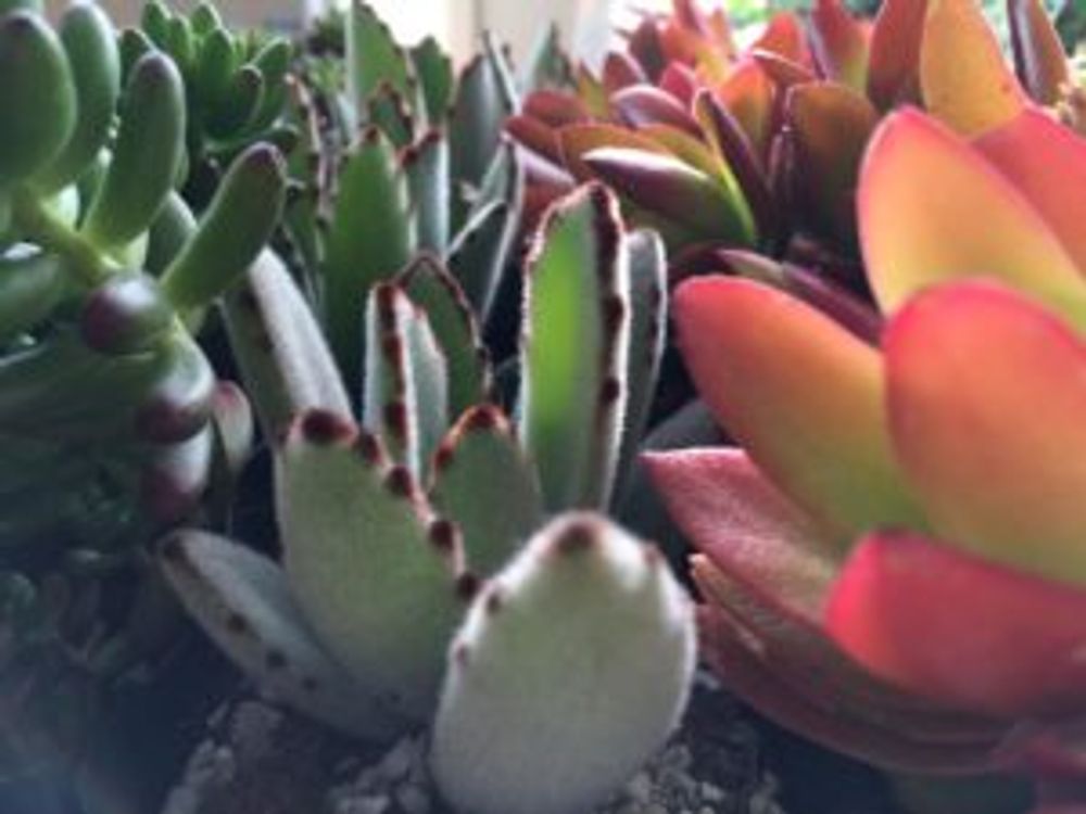 Photo by 季心庵 きしんあんさん