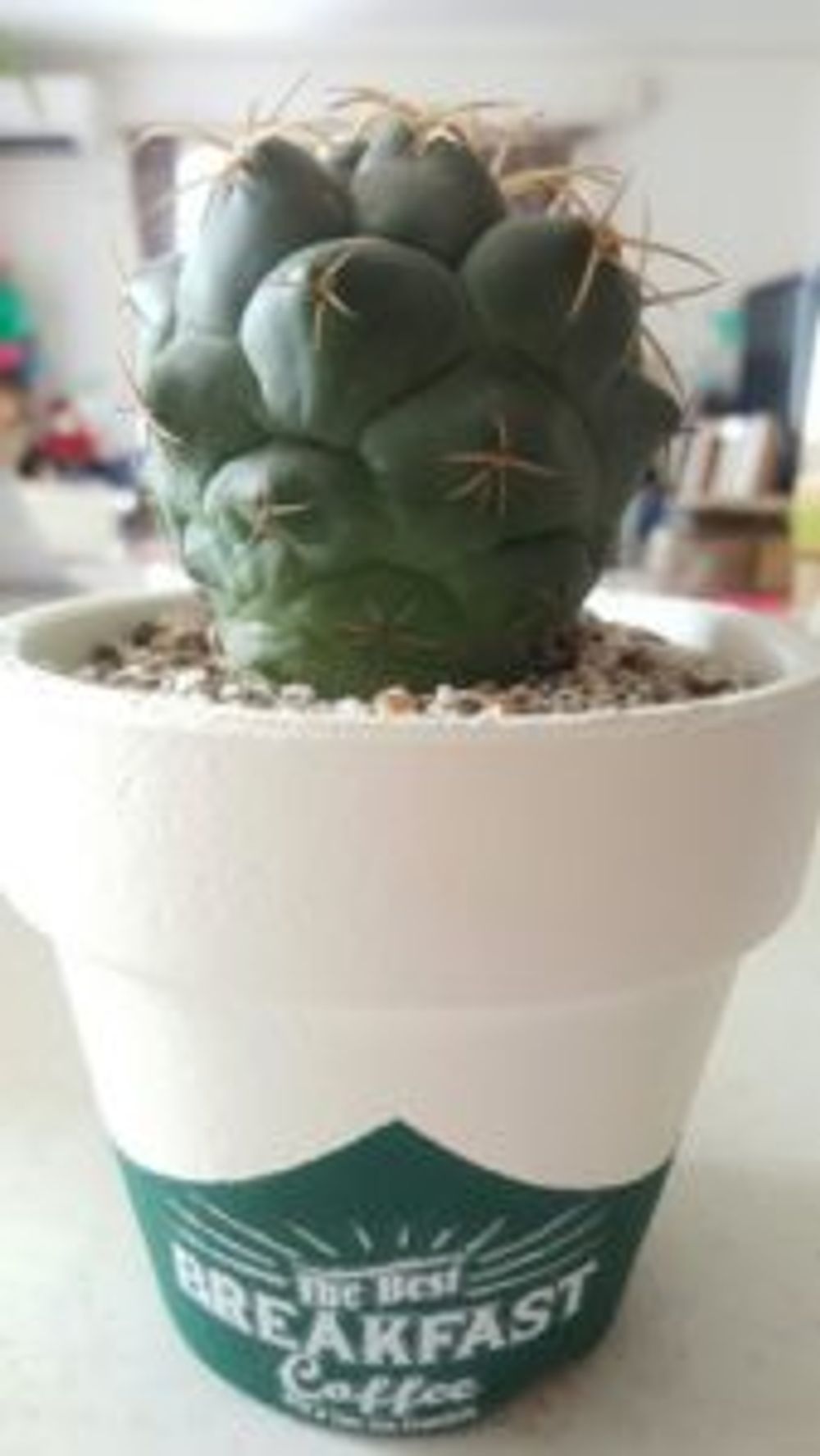 Photo by ぴろみさん