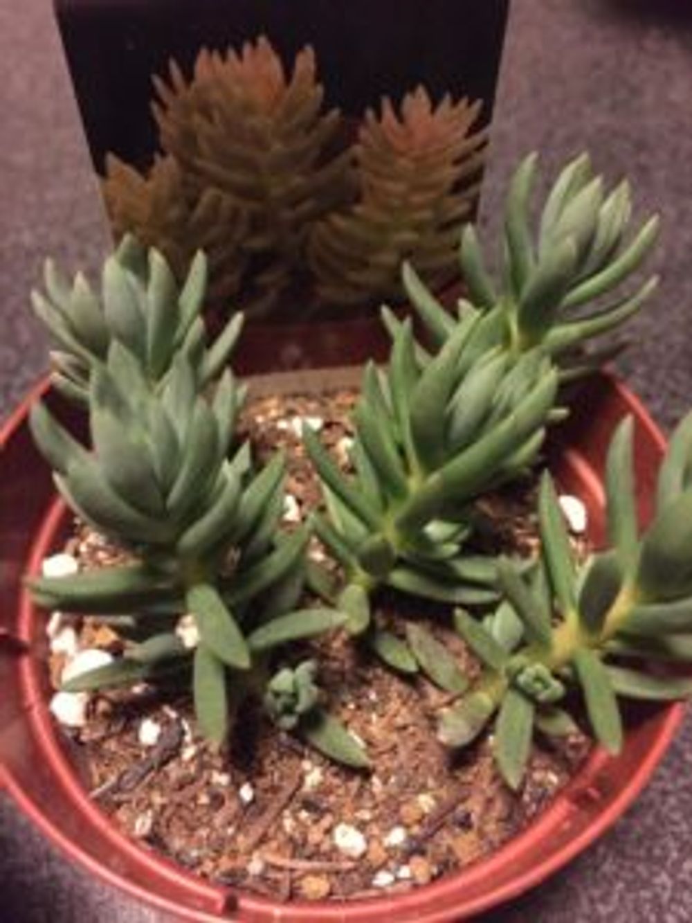 Photo by まめさん