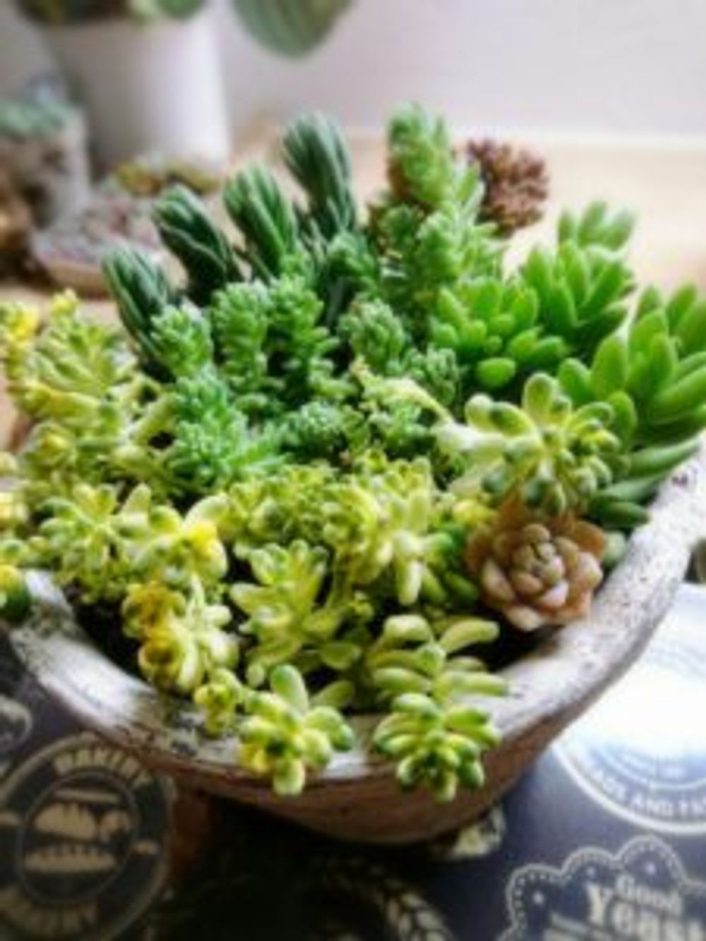 Photo by 4姉妹のママ☆さん