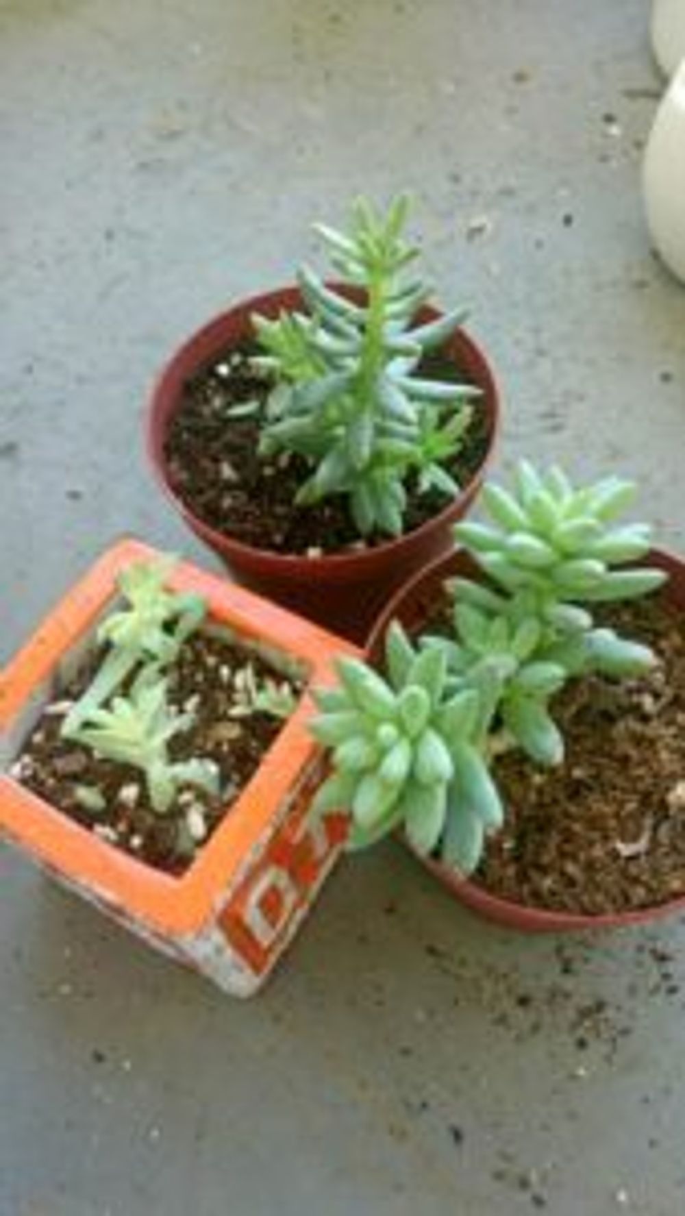 Photo by グレイスさん